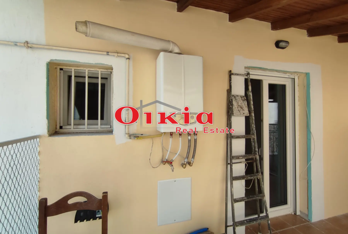 ΓΚΑΡΣΟΝΙΕΡΑ ΕΠΤΑ ΠΛΑΤΑΝΙΑ