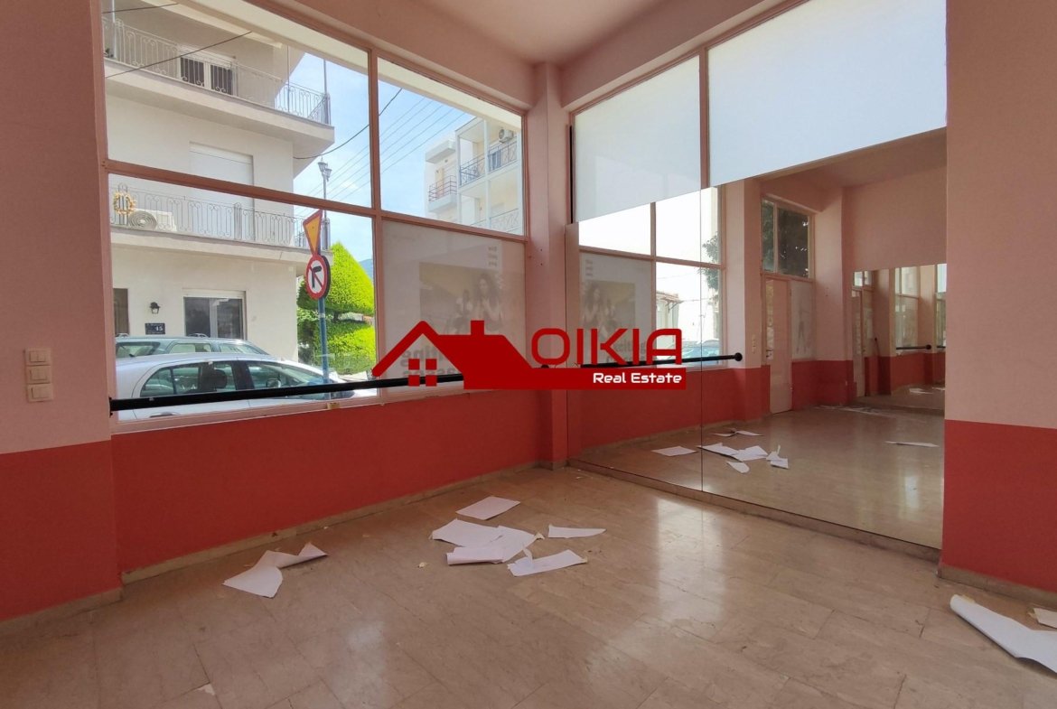 ΕΠΑΓΓΕΛΜΑΤΙΚΗ ΣΤΕΓΗ ΟΞΥΓΟΝΟ