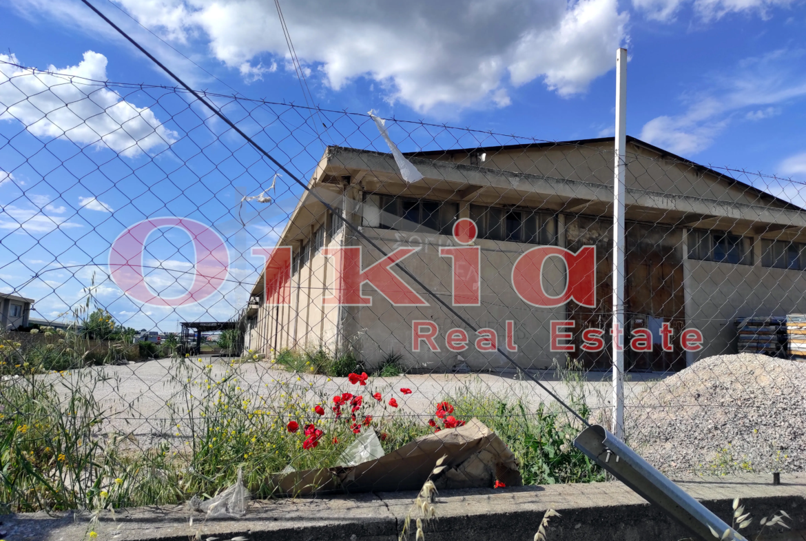 ΑΠΟΘΗΚΗ ΔΙΑΒΑΤΑ