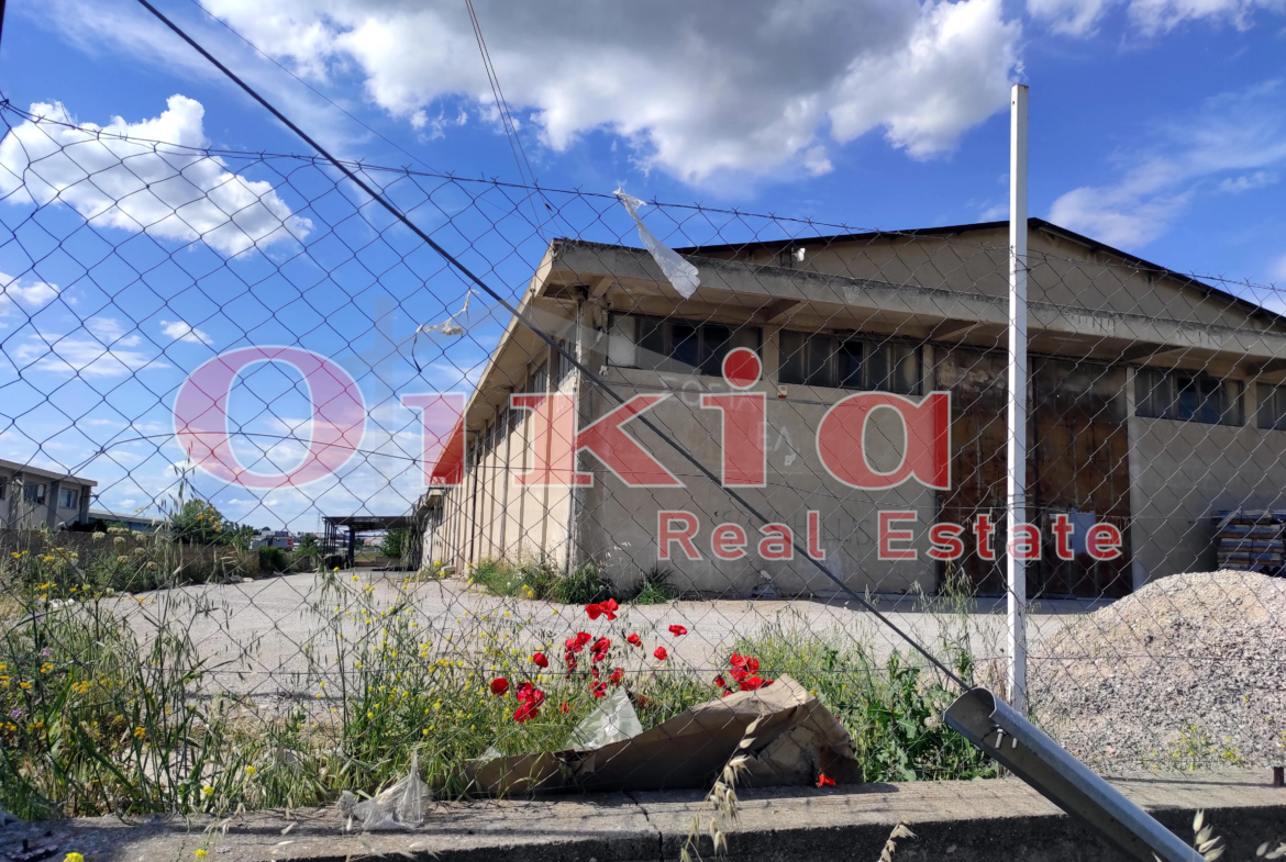 ΑΠΟΘΗΚΗ ΔΙΑΒΑΤΑ