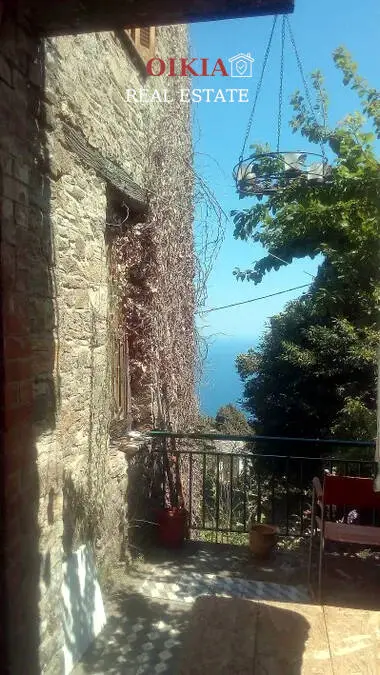 ΜΟΝΟΚΑΤΟΙΚΙΑ ΖΑΓΟΡΑ