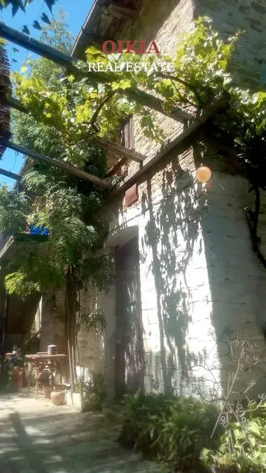 ΜΟΝΟΚΑΤΟΙΚΙΑ ΖΑΓΟΡΑ