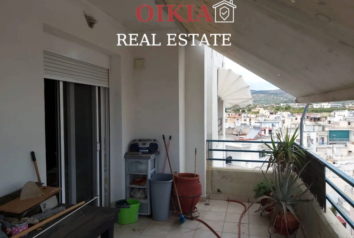 ΤΕΣΣΑΡΙ Ν. ΙΩΝΙΑ