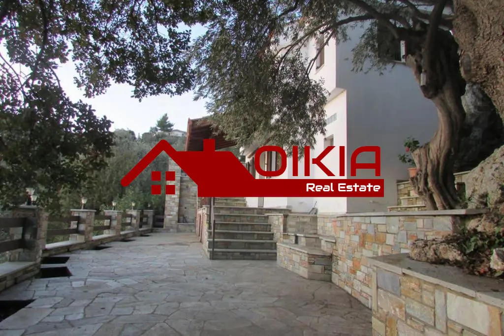 ΜΕΖΟΝΕΤΑ ΠΛΑΤΑΝΙΑΣ