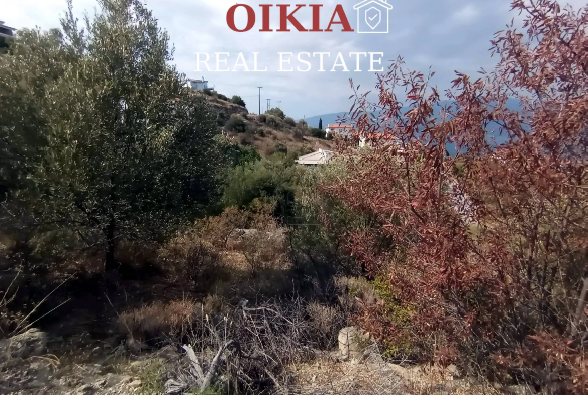 ΟΙΚΟΠΕΔΟ ΑΓ. ΣΤΕΦΑΝΟΣ