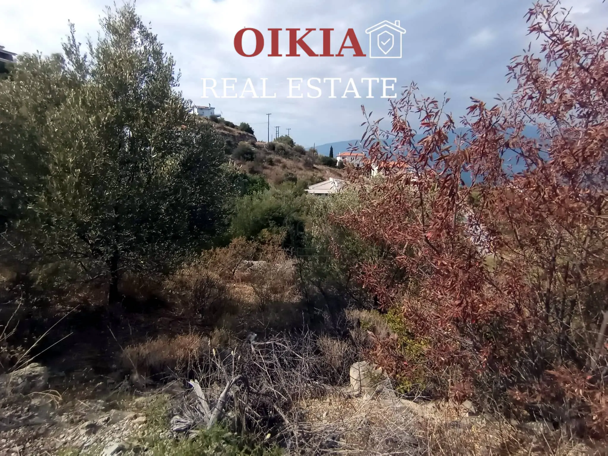 6 ΟΙΚΟΠΕΔΟ ΑΓ. ΣΤΕΦΑΝΟΣ