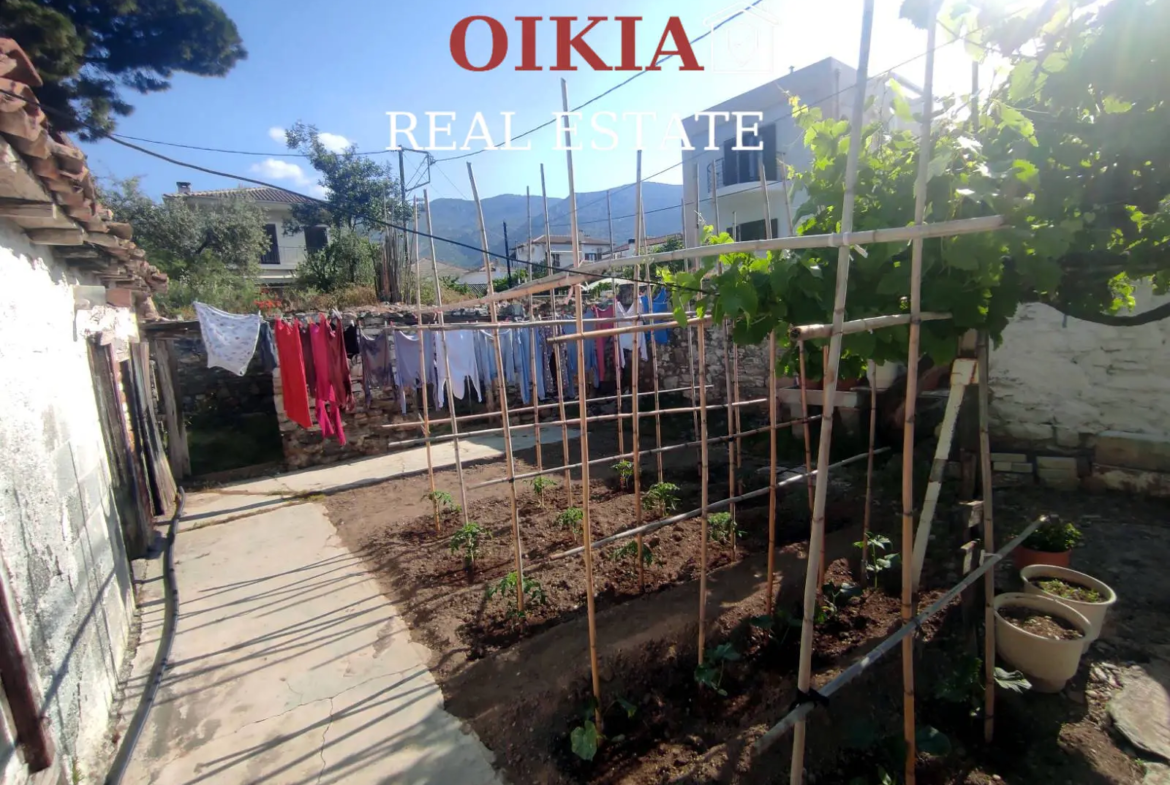 ΜΟΝΟΚΑΤΟΙΚΙΑ ΑΓΡΙΑ