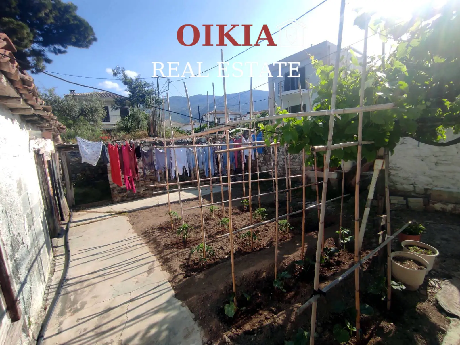 ΜΟΝΟΚΑΤΟΙΚΙΑ ΑΓΡΙΑ