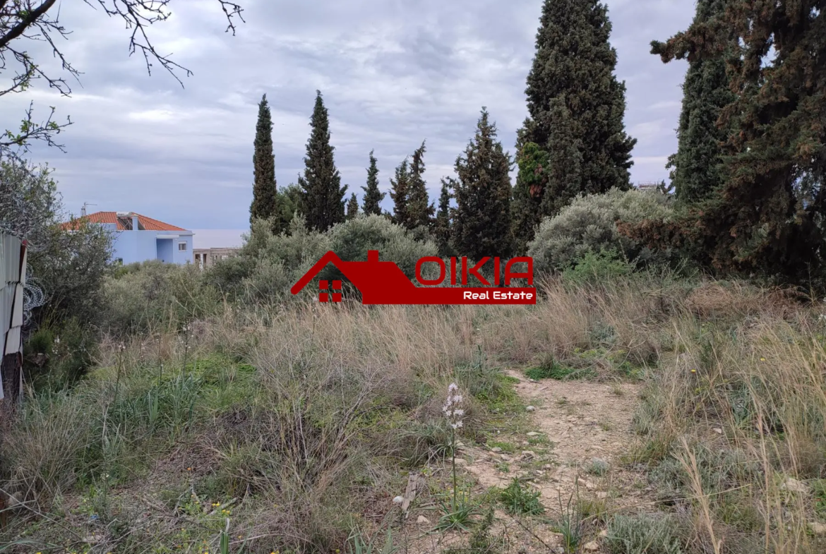 ΟΙΚΟΠΕΔΟ ΑΛΥΚΕΣ