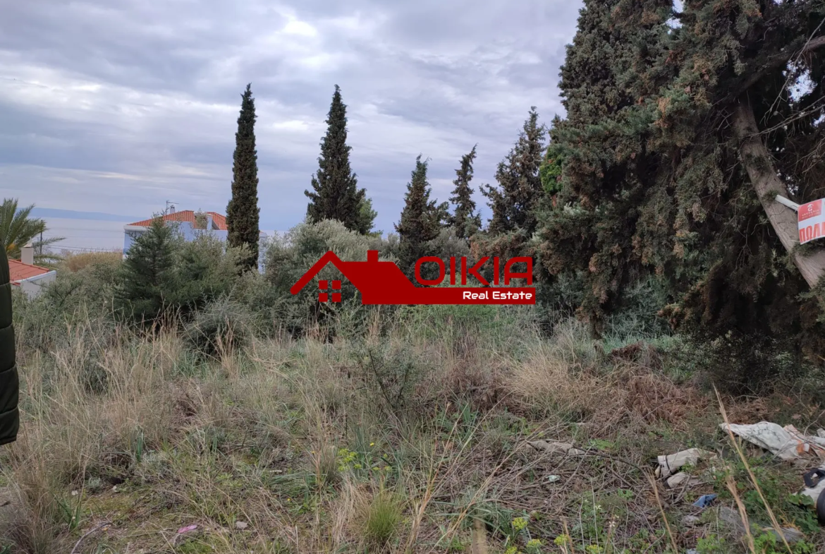 ΟΙΚΟΠΕΔΟ ΑΛΥΚΕΣ