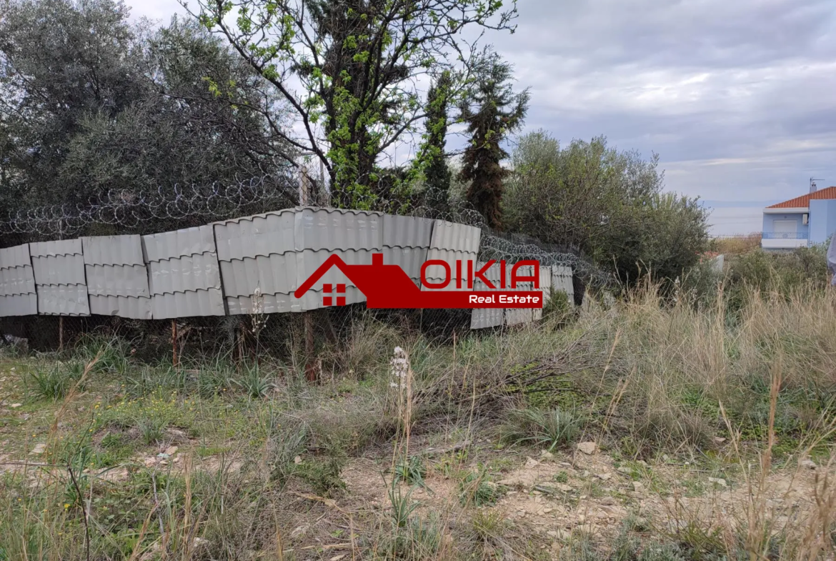 ΟΙΚΟΠΕΔΟ ΑΛΥΚΕΣ