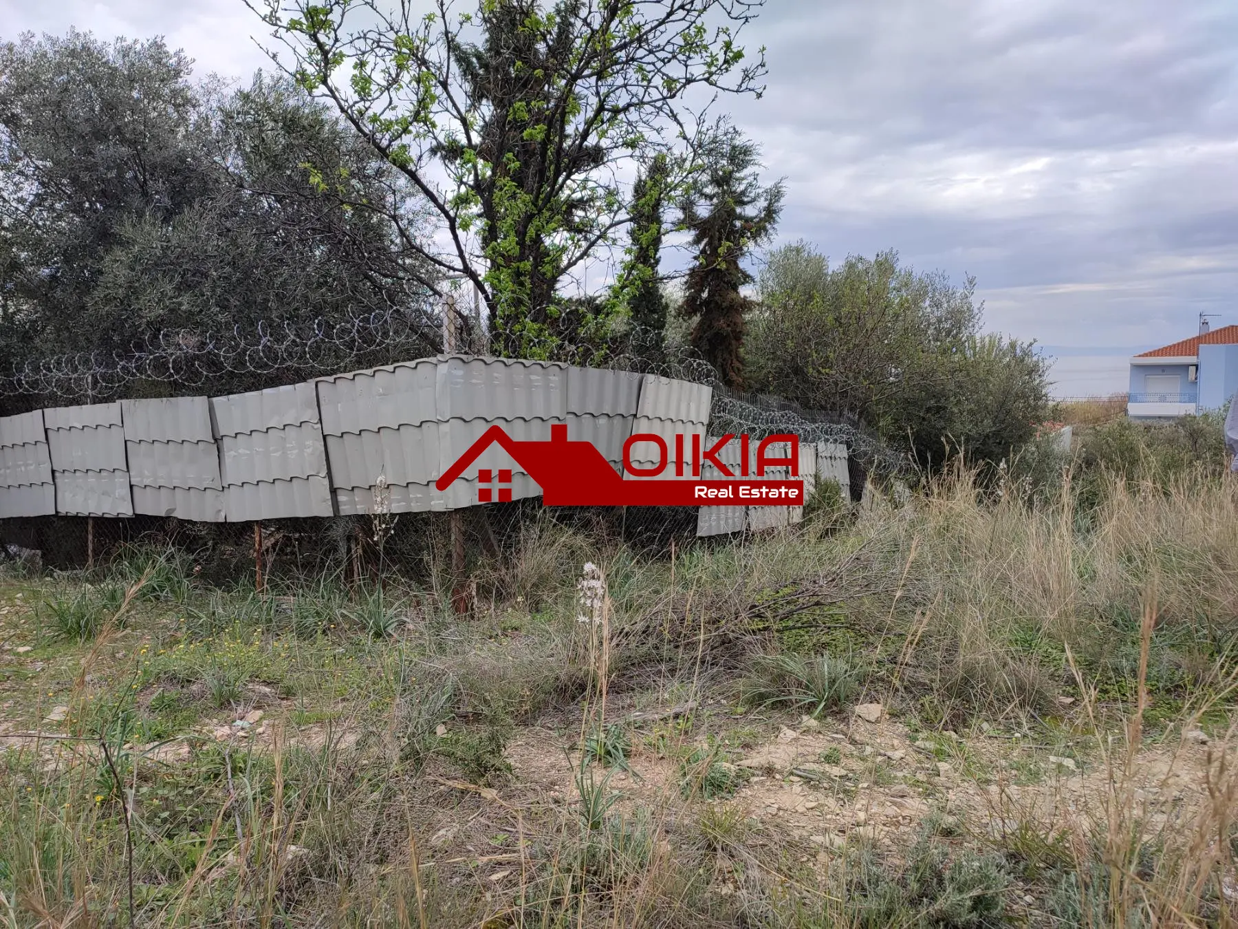 ΟΙΚΟΠΕΔΟ ΑΛΥΚΕΣ
