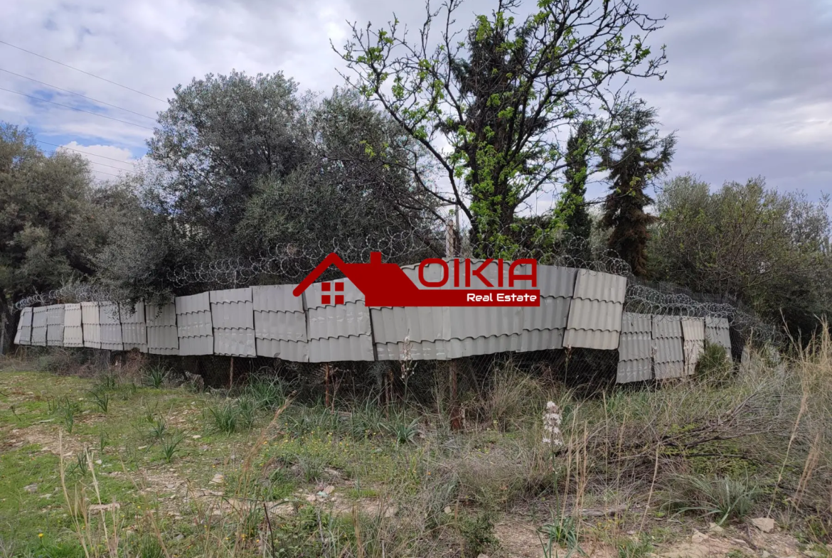 ΟΙΚΟΠΕΔΟ ΑΛΥΚΕΣ