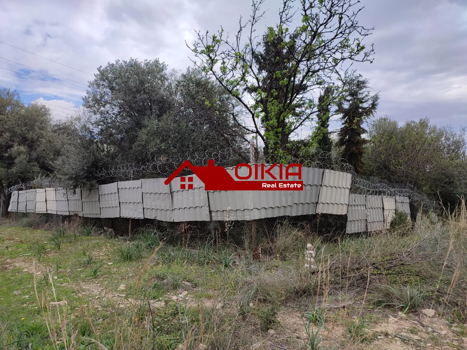 ΟΙΚΟΠΕΔΟ ΑΛΥΚΕΣ