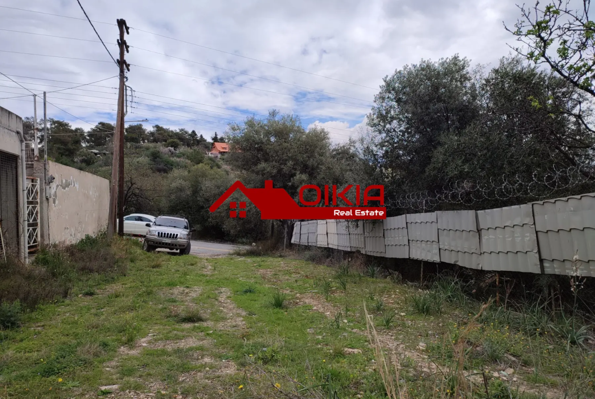 ΟΙΚΟΠΕΔΟ ΑΛΥΚΕΣ