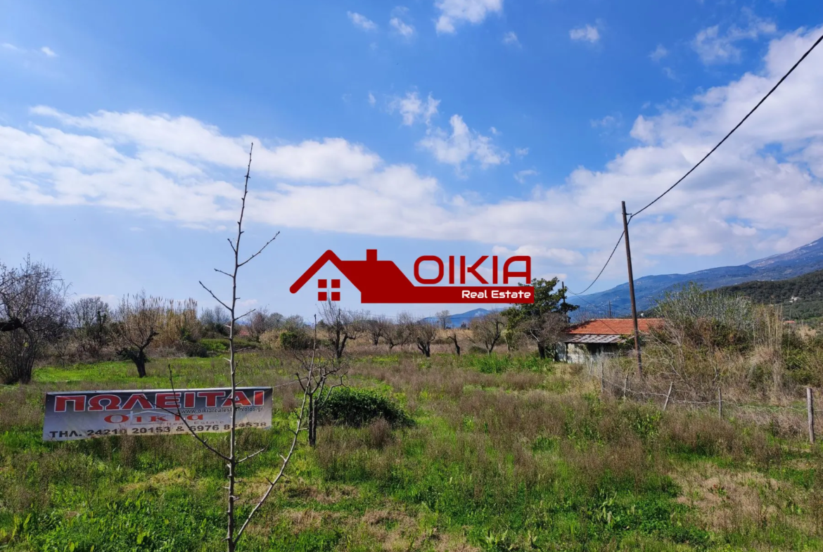 ΑΓΡΟΤΕΜΑΧΙΟ ΚΟΡΩΠΙ ΠΗΛΙΟΥ
