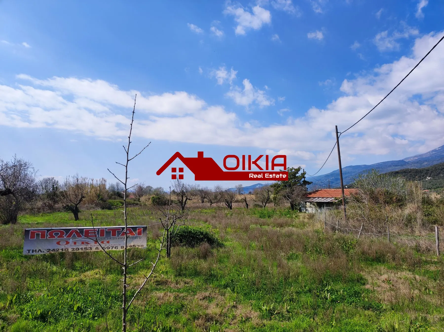 εικόνα_Viber_2025-03-20_13-48-16-082 ΑΓΡΟΤΕΜΑΧΙΟ ΚΟΡΩΠΙ ΠΗΛΙΟΥ