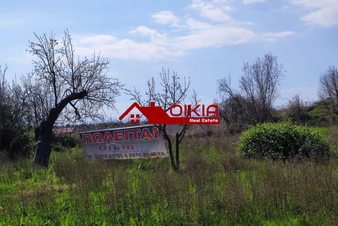 ΑΓΡΟΤΕΜΑΧΙΟ ΚΟΡΩΠΙ ΠΗΛΙΟΥ