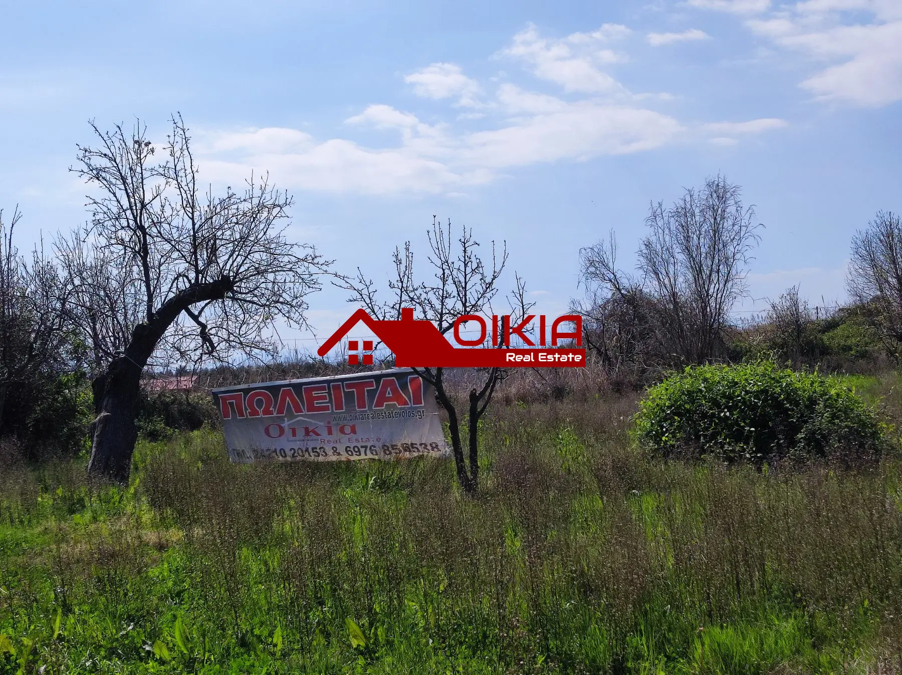 εικόνα_Viber_2025-03-20_13-48-16-186 ΑΓΡΟΤΕΜΑΧΙΟ ΚΟΡΩΠΙ ΠΗΛΙΟΥ