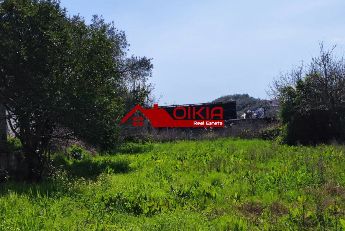 ΑΓΡΟΤΕΜΑΧΙΟ ΚΟΡΩΠΙ ΠΗΛΙΟΥ