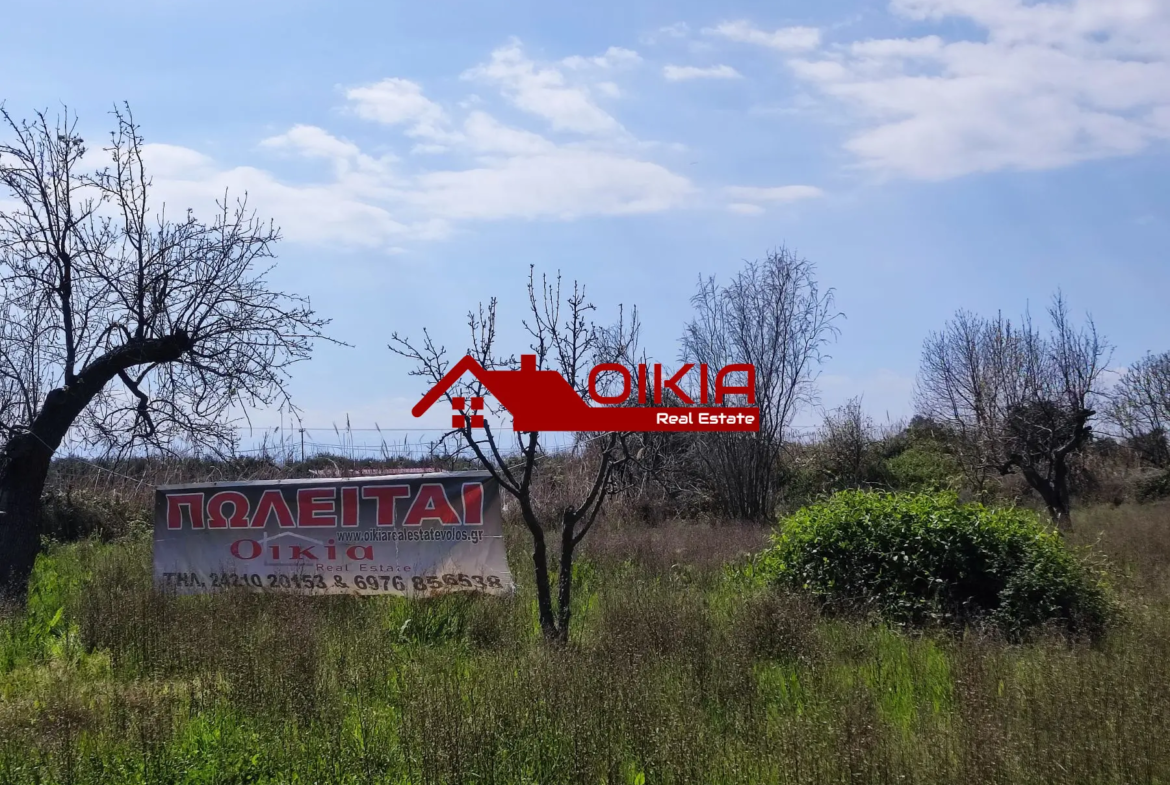 ΑΓΡΟΤΕΜΑΧΙΟ ΚΟΡΩΠΙ ΠΗΛΙΟΥ
