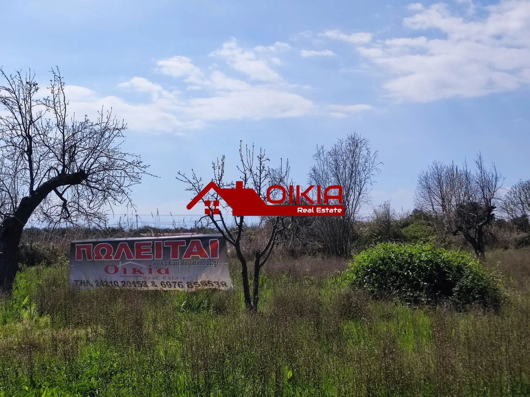 εικόνα_Viber_2025-03-20_13-48-16-322 ΑΓΡΟΤΕΜΑΧΙΟ ΚΟΡΩΠΙ ΠΗΛΙΟΥ