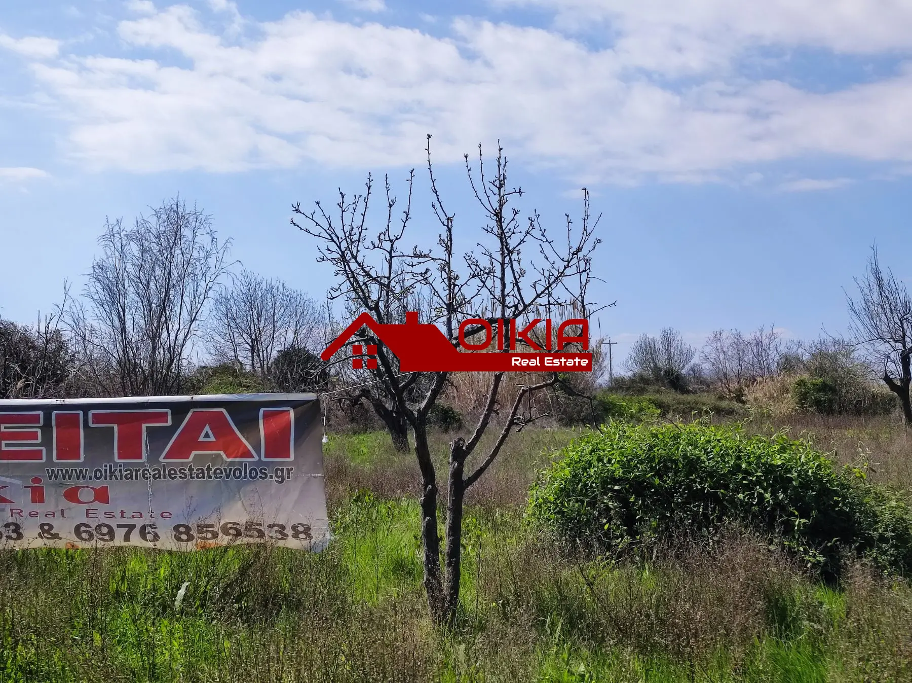 εικόνα_Viber_2025-03-20_13-48-16-426 ΑΓΡΟΤΕΜΑΧΙΟ ΚΟΡΩΠΙ ΠΗΛΙΟΥ