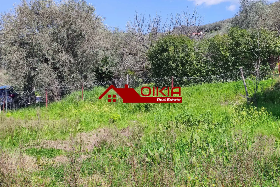 ΑΓΡΟΤΕΜΑΧΙΟ ΚΟΡΩΠΙ ΠΗΛΙΟΥ