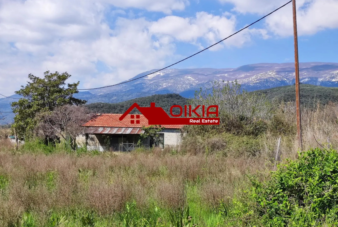 ΑΓΡΟΤΕΜΑΧΙΟ ΚΟΡΩΠΙ ΠΗΛΙΟΥ