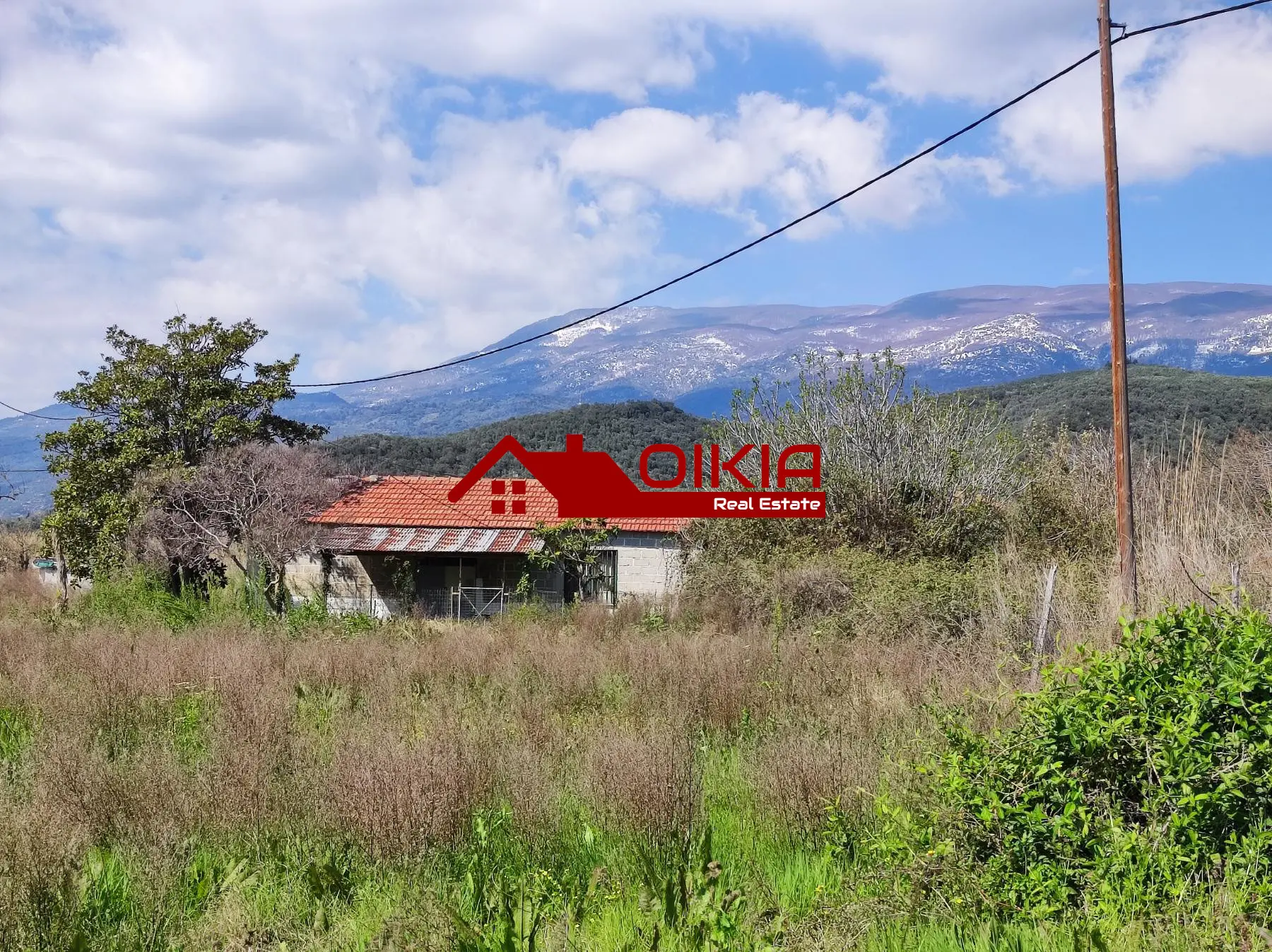 εικόνα_Viber_2025-03-20_13-48-16-891 ΑΓΡΟΤΕΜΑΧΙΟ ΚΟΡΩΠΙ ΠΗΛΙΟΥ