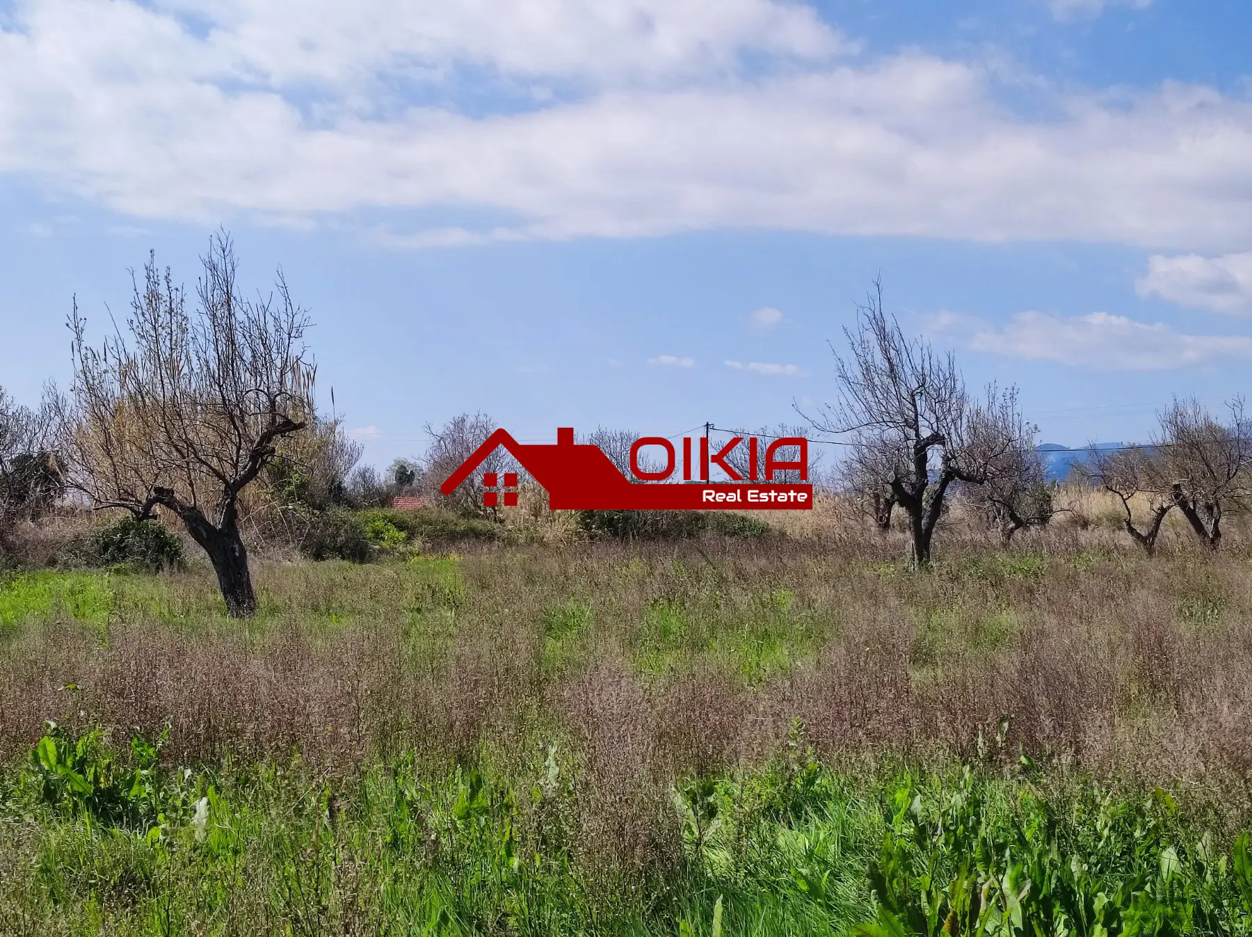 εικόνα_Viber_2025-03-20_13-48-16-943 ΑΓΡΟΤΕΜΑΧΙΟ ΚΟΡΩΠΙ ΠΗΛΙΟΥ