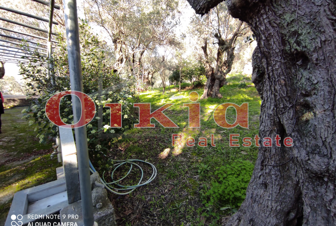 ΜΟΝΟΚΑΤΟΙΚΙΑ ΖΕΡΒΟΧΙΑ