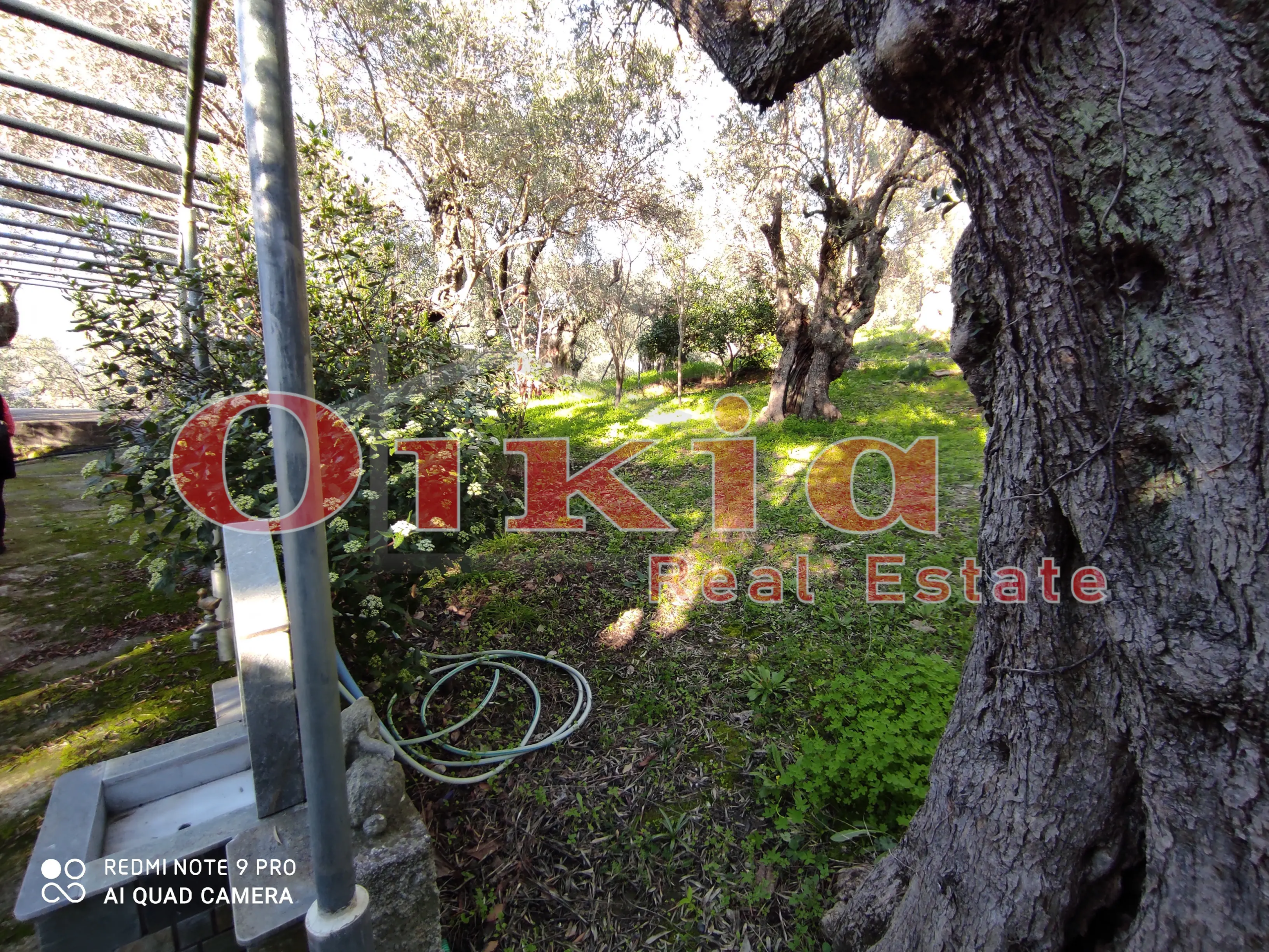 IMG_20210206_160343 ΜΟΝΟΚΑΤΟΙΚΙΑ ΖΕΡΒΟΧΙΑ