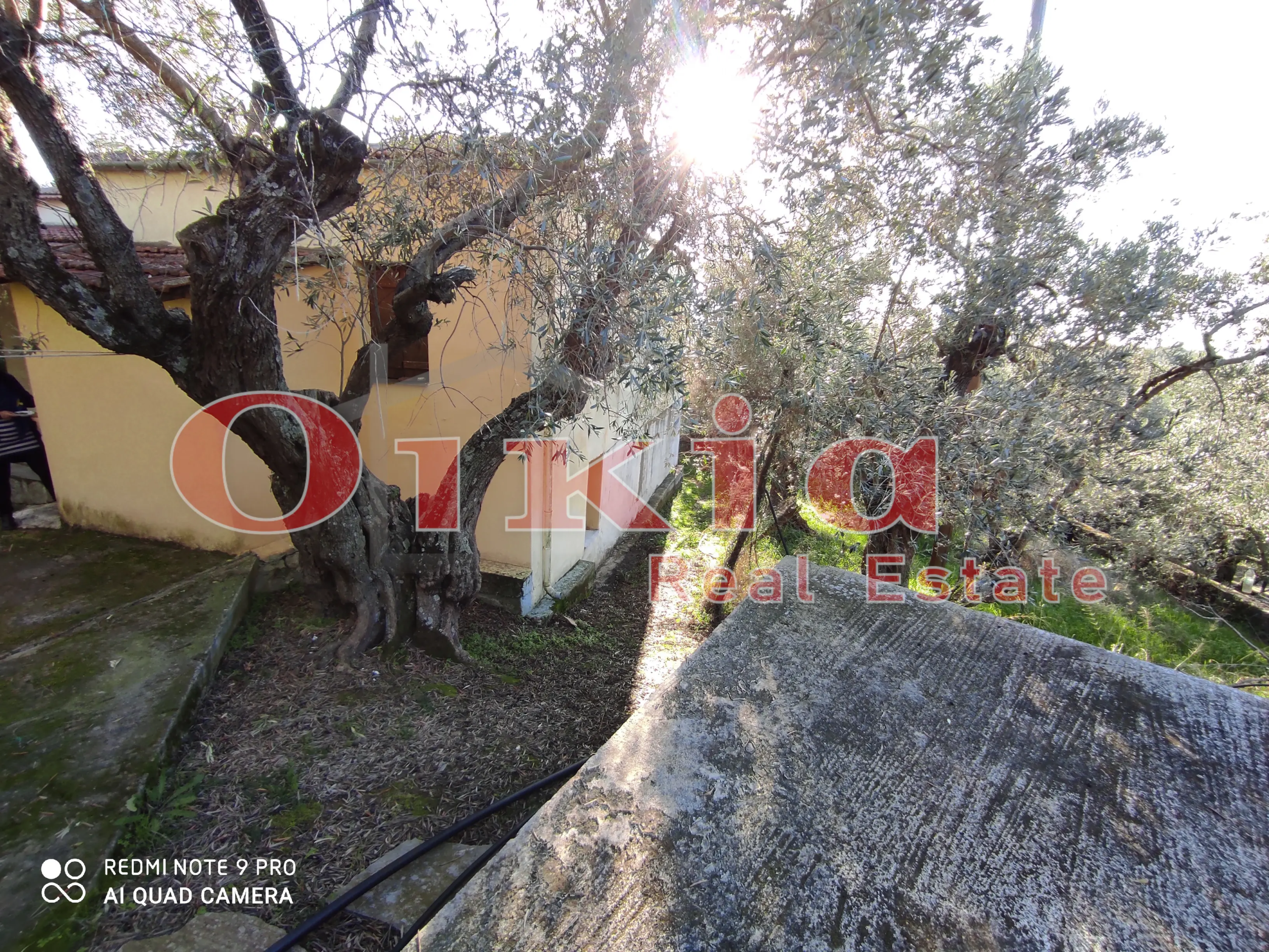 IMG_20210206_160429 ΜΟΝΟΚΑΤΟΙΚΙΑ ΖΕΡΒΟΧΙΑ