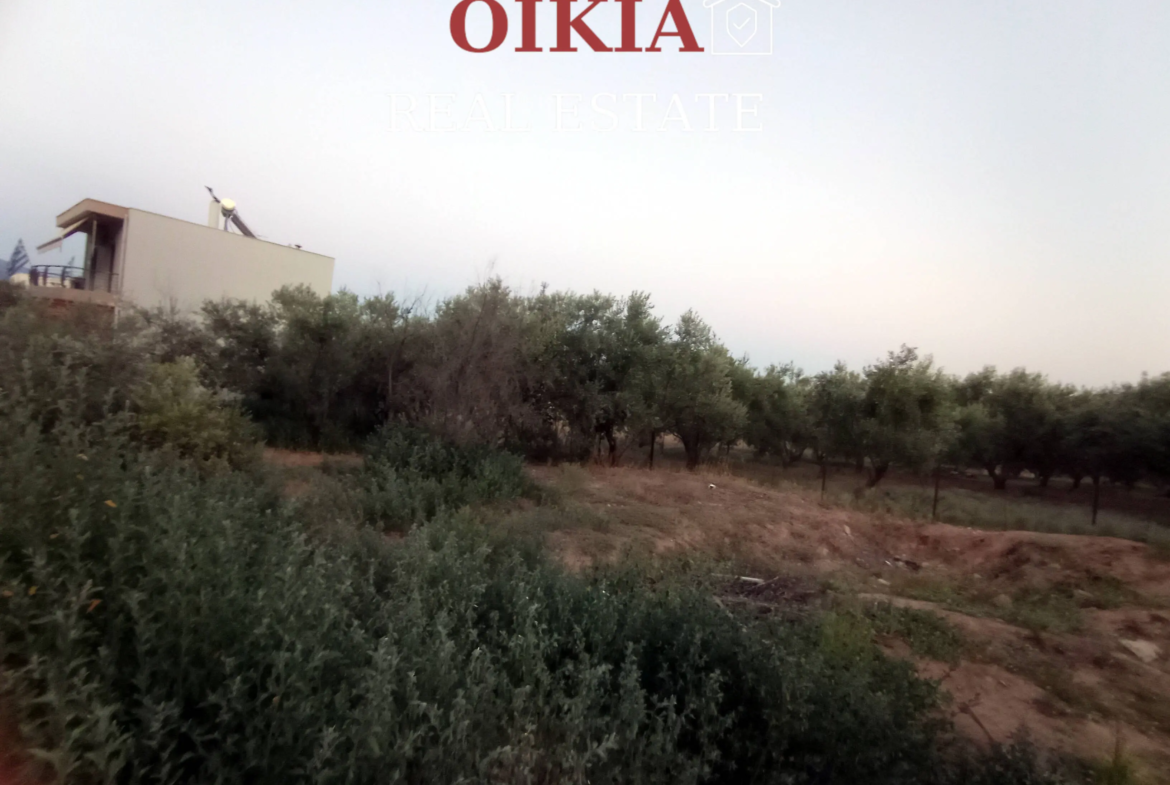 ΟΙΚΟΠΕΔΟ ΑΪΒΑΛΙΩΤΙΚΑ