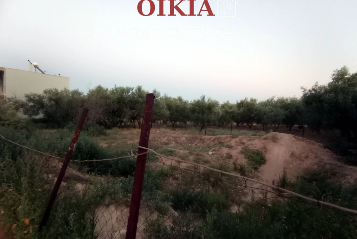 ΟΙΚΟΠΕΔΟ ΑΪΒΑΛΙΩΤΙΚΑ